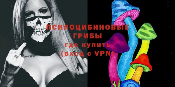 ПСИЛОЦИБИНОВЫЕ ГРИБЫ Лихославль