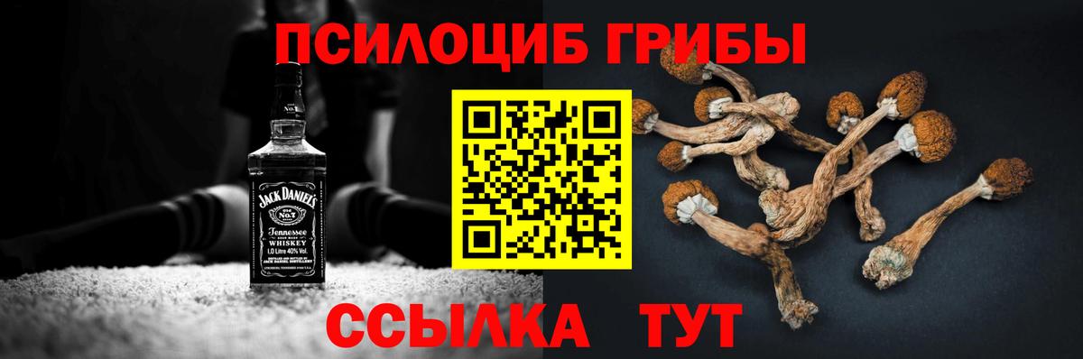 Псилоцибиновые грибы мухоморы  Волгодонск  Псилоцибиновые грибы Cubensis 